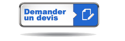 btDemanderUnDevis